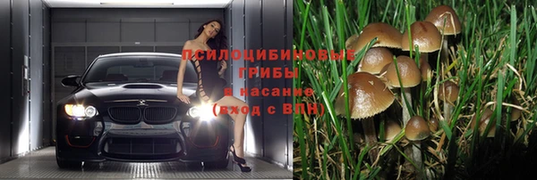 a pvp Балабаново
