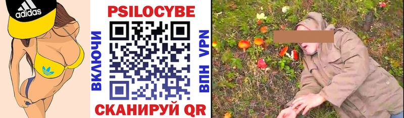 Псилоцибиновые грибы Cubensis  Сосновый Бор 
