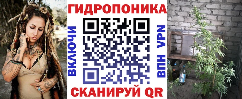 Бошки марихуана OG Kush  Сосновый Бор 